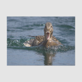 Eten met open bek tissuepapier