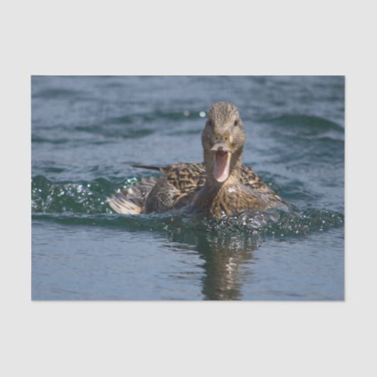Eten met open bek tissuepapier (Voorkant)