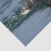 Eten met open bek tissuepapier (Detail)