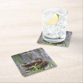 Eten Preening in de Leden Kartonnen Onderzetters (Insitu)