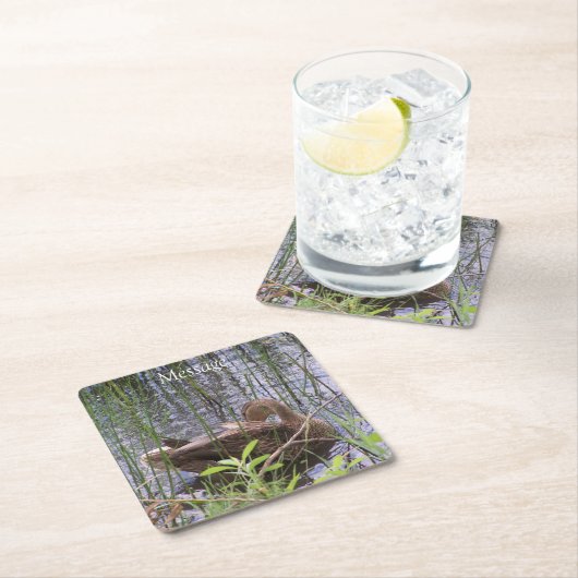 Eten Preening in de Leden Kartonnen Onderzetters (Insitu)