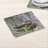 Eten Preening in de Leden Kartonnen Onderzetters (Schuin)