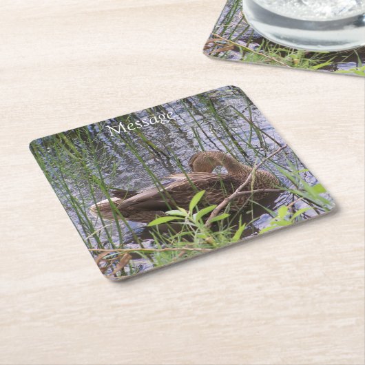 Eten Preening in de Leden Kartonnen Onderzetters (Schuin)