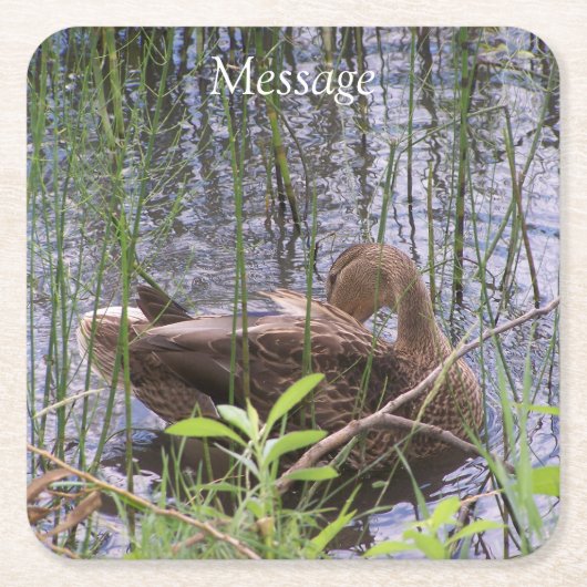 Eten Preening in de Leden Kartonnen Onderzetters (Voorkant)