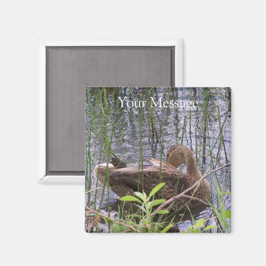 Eten Preening in de Leden Magneet (Voorkant / Achterkant)