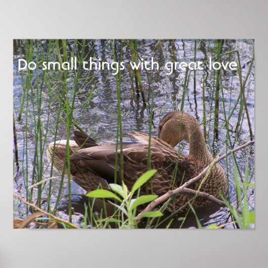 Eten Preening in de Leden Poster (Voorkant)