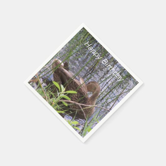 Eten Preening in de Leden Servet (Hoek)