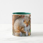 Eten van eekhoorntjes mok (Midden)