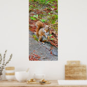 Eten van eekhoorntjes poster (Keuken)