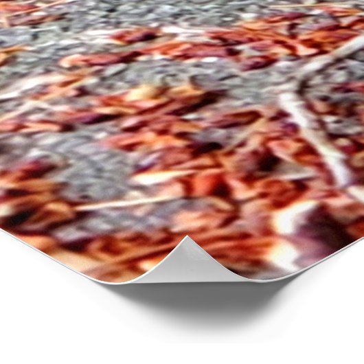 Eten van eekhoorntjes poster (Hoek)