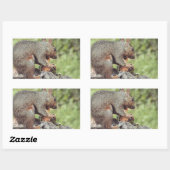 Eten van een eekhoorn rechthoekige sticker (Vel)