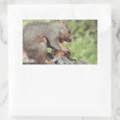 Eten van een eekhoorn rechthoekige sticker (Tas)