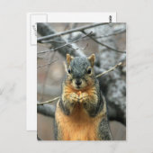 Eten van een Nut Briefkaart (Voorkant / Achterkant)