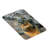 Eten van een Nut Magneet (Rechterzijde)