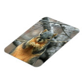 Eten van een Nut Magneet (Linkerzijde)