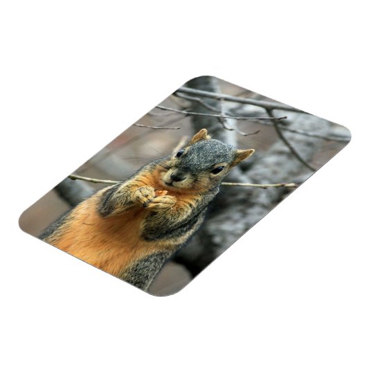 Eten van een Nut Magneet (Linkerzijde)