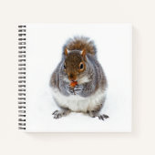 Eten van een Nut Notitieboek (Voorkant)