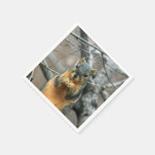 Eten van een Nut Servetten (Hoek)