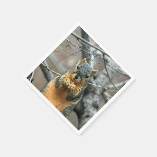 Eten van een Nut Servetten (Hoek)