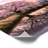 Eternal Cherry Blossom Reflection –  Kunstprint Poster (Hoek)