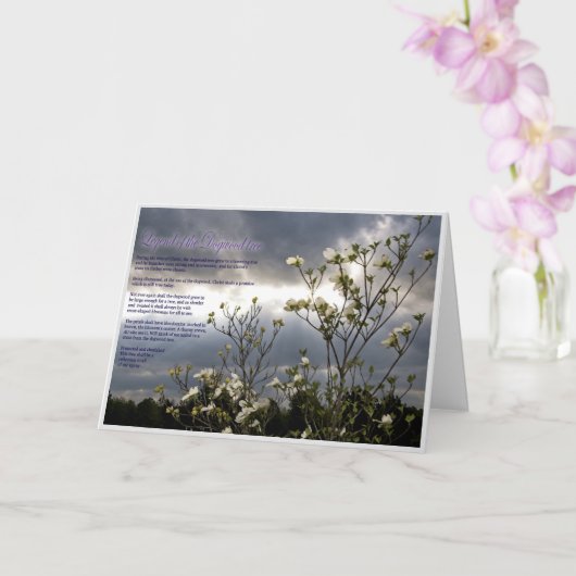 Eternal Comfort: een Christelijke sympathiekaart Kaart (Orchidee)