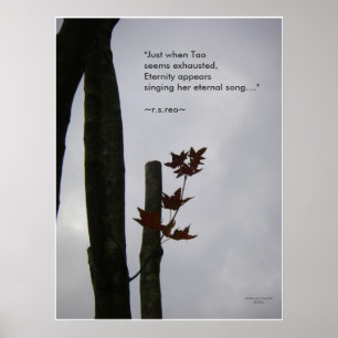 Eternal Song of Life: Natuur Zen/Tao Poster