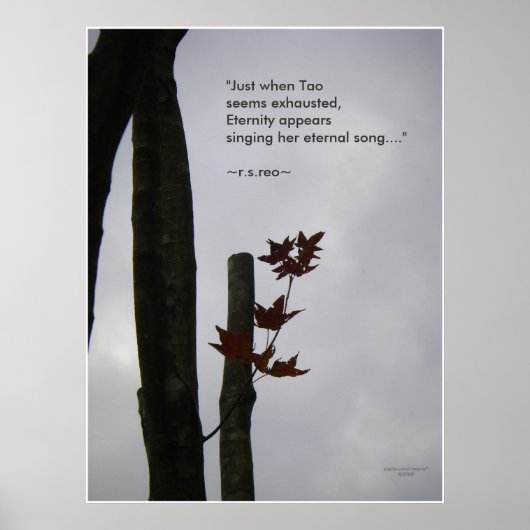 Eternal Song of Life: Natuur Zen/Tao-Poster Poster (Voorkant)