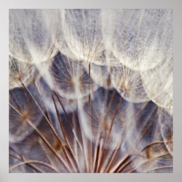Etheral Dandalion Macro Abstract Poster