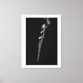 Ethereal Dance of Incense Smoke Canvas Afdruk (Voorkant)