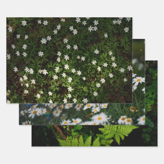 Ethereal Forest Flora, set of 3 art photos Inpakpapier Vel (Set)