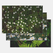Ethereale bosflora, set van 3 kunstfoto's