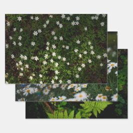 Ethereale bosflora, set van 3 kunstfoto's inpakpapier vel