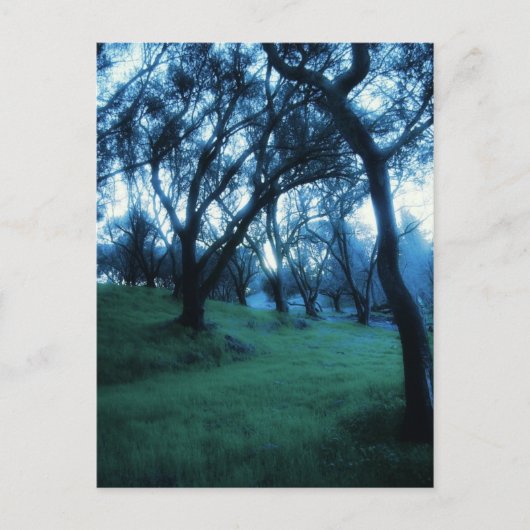 Etherial Moment Briefkaart (Voorkant)