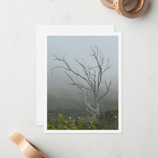 Etherische harmonie notitiekaartje (Voorkant / Achterkant in situ)