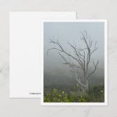 Etherische harmonie notitiekaartje (Voorkant / Achterkant)