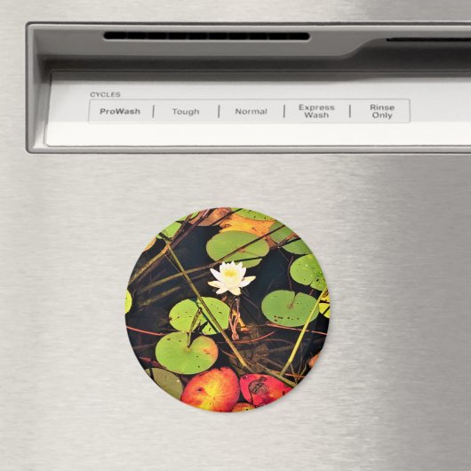 "Etherische Lelie Pad Vijver met Centrale Witte Bl Magneet (Insitu (Vaatwasser))