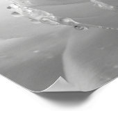 Etherische Monochromatische Pioenblaadjes Macro Poster (Hoek)