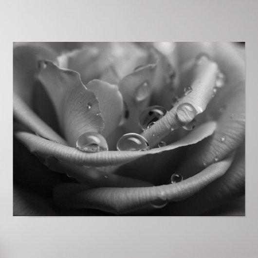 Etherische Monochromatische Rozenblaadjes Macro Poster (Voorkant)