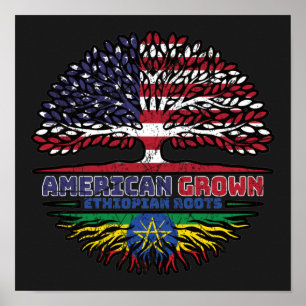 Ethiopia Ethiopian US American USA United States Poster