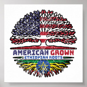 Ethiopië Ethiopian US American USA Verenigde State Poster