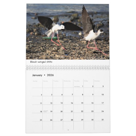 Ethiopische kalender (Jan 2026)