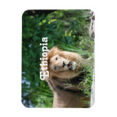 Ethiopische leeuw magneet (Verticaal)