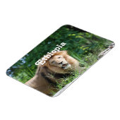 Ethiopische leeuw magneet (Linkerzijde)