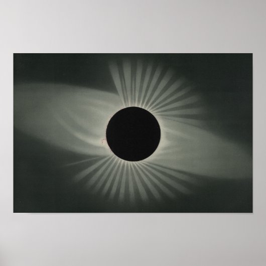 Etienne Leopold Trouvelot - Totale clipse Poster (Voorkant)
