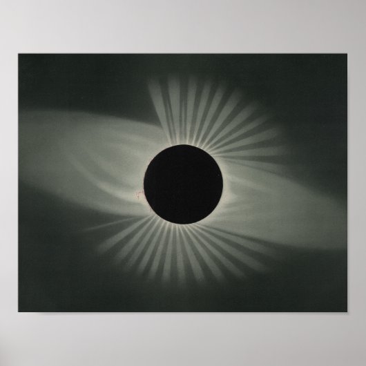 Etienne Leopold Trouvelot - Totale clipse Poster (Voorkant)