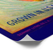 Etiket 1930-vruchten Victoria-sinaasappels Poster (Hoek)