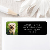 Etiket Aangepast terugzendadres foto foto foto van (Insitu)