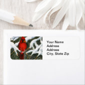 Etiket achterzijde kardinaal rode vogel (Insitu)