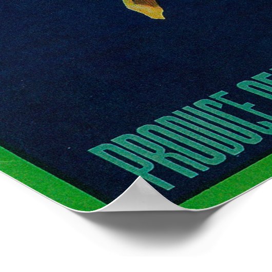 Etiket bijenkaas poster (Hoek)