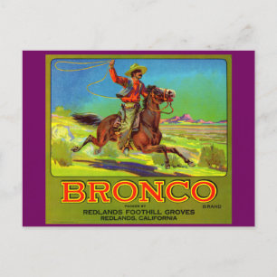 Etiket Bronco fruit uit de jaren 1920 Briefkaart